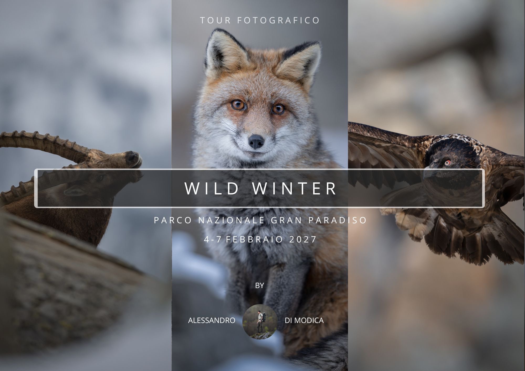 WILD WINTER 4-7 FEBRUARY 2027